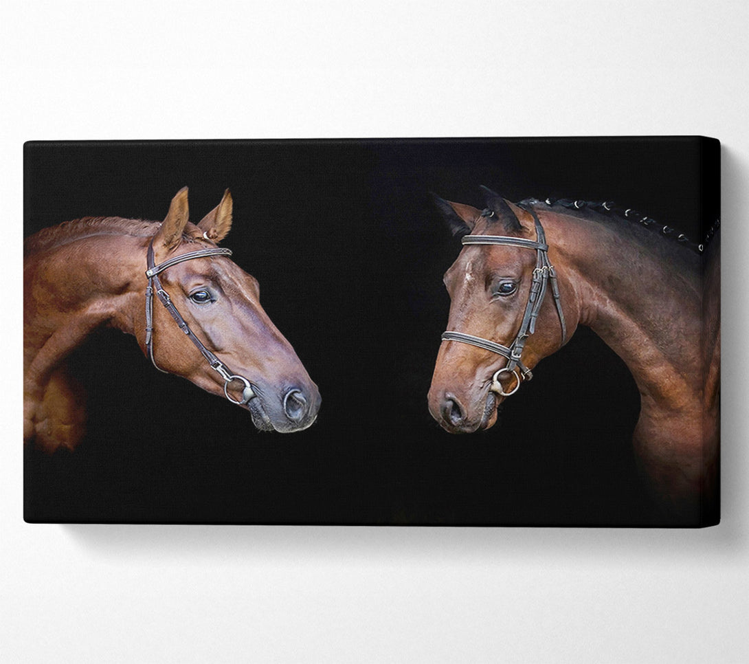  A Canvas Print of Horse Duo Canvas Print