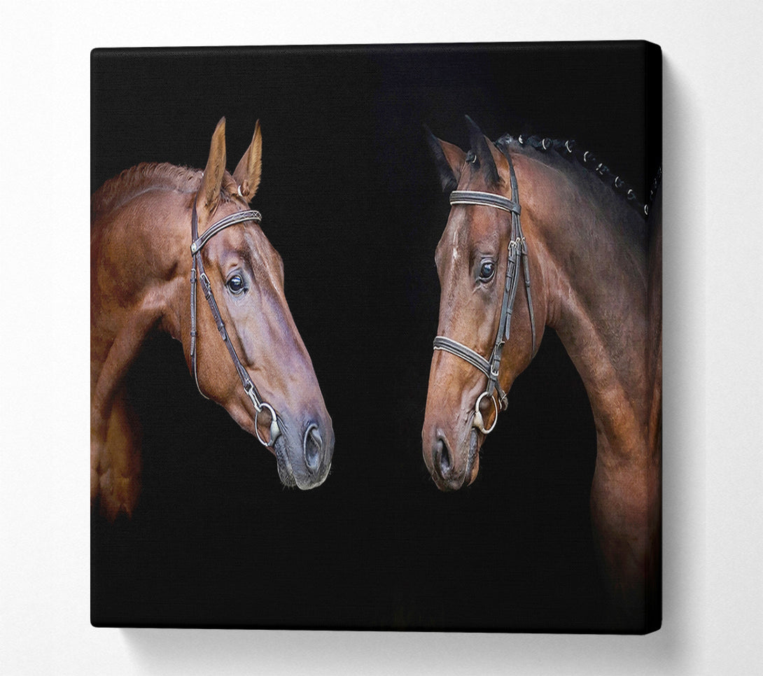  A Canvas Print of Horse Duo Canvas Print