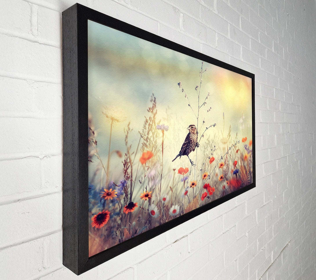  A Canvas Print of Bird in Paradise Canvas Wall Art