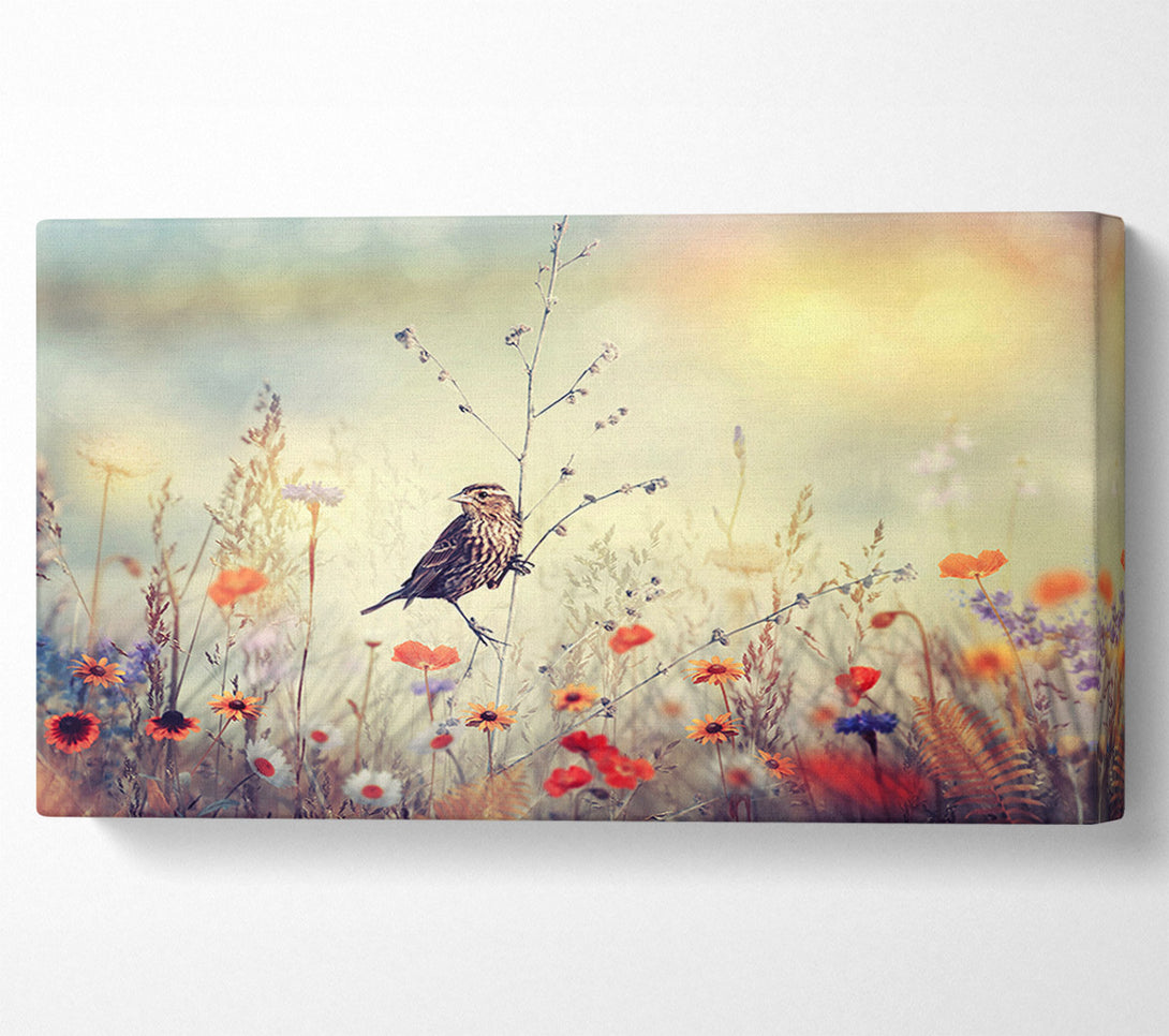  A Canvas Print of Bird in Paradise Canvas Wall Art