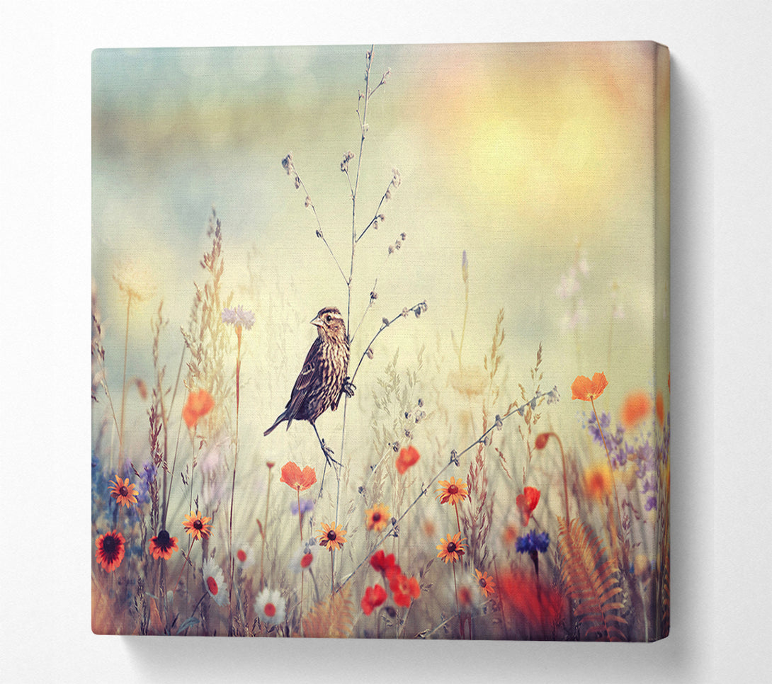  A Canvas Print of Bird in Paradise Canvas Wall Art