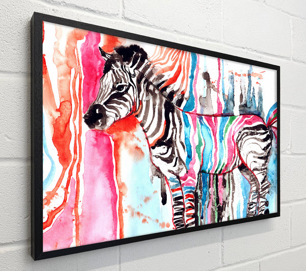 Funky Zebra