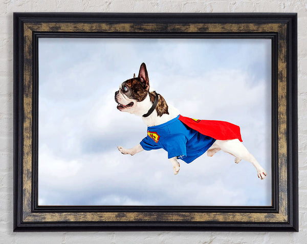 Super Dog Skies Framed Print