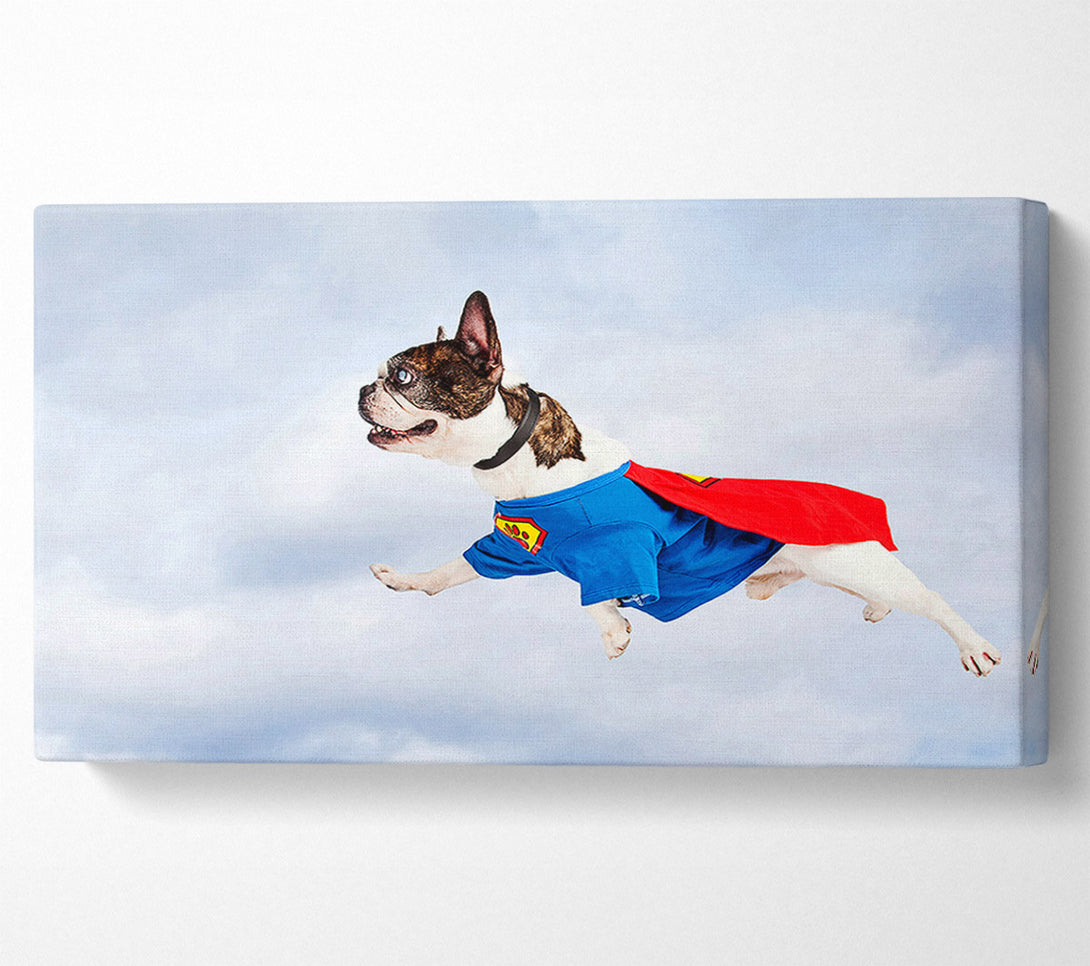  A Canvas Print of Super Dog Skies Canvas Art