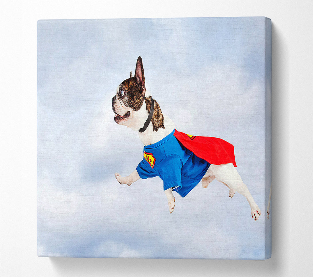  A Canvas Print of Super Dog Skies Canvas Art