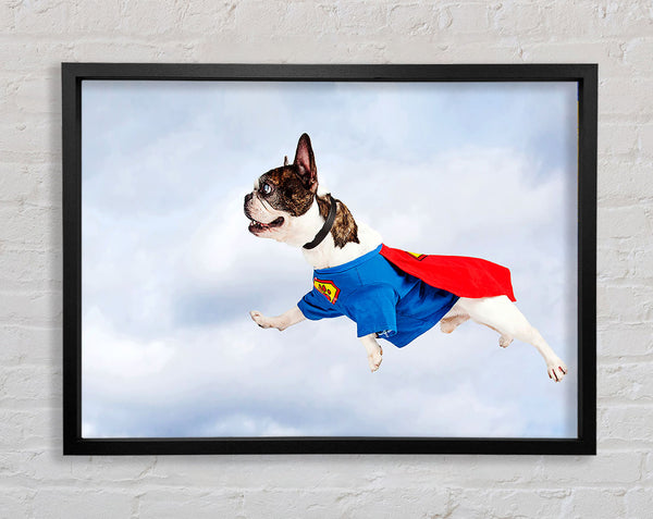 Super Dog Skies Framed Print