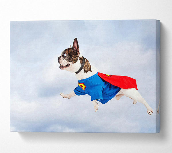  A Canvas Print of Super Dog Skies Canvas Art
