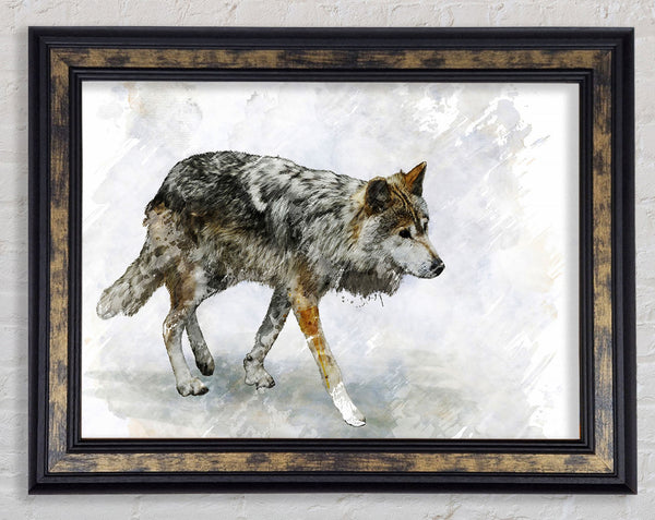 Wolf Trek Framed Print
