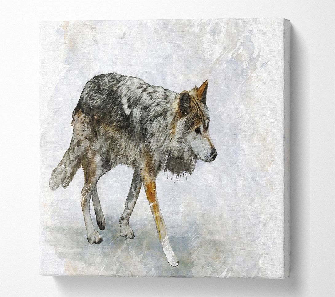  A Canvas Print of Wolf Trek Canvas Art