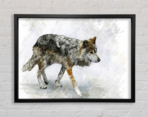 Wolf Trek Framed Print