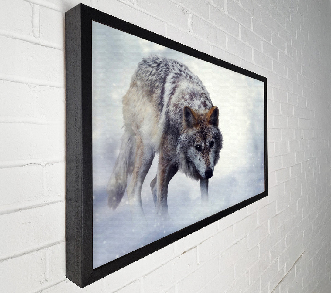  A Canvas Print of Prowling Wolf Canvas Wall Art