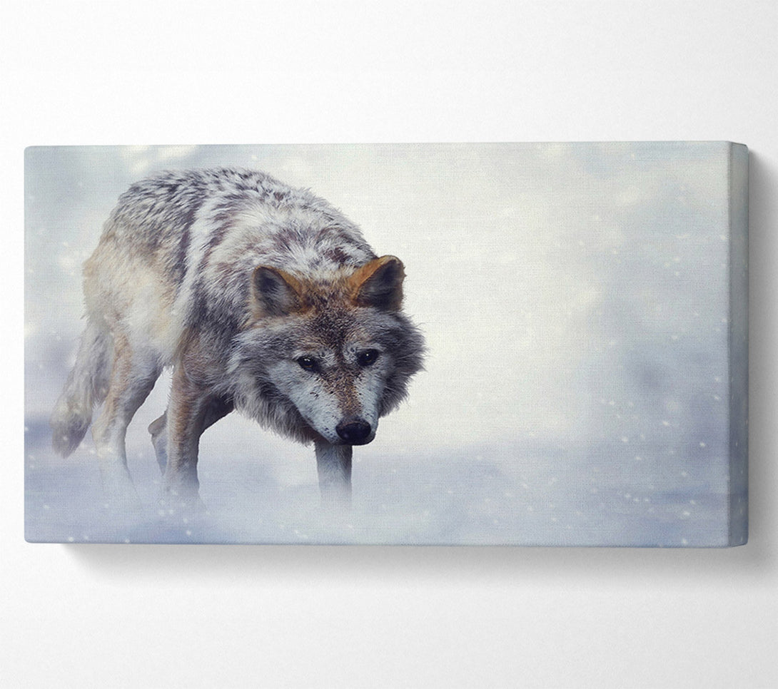  A Canvas Print of Prowling Wolf Canvas Wall Art