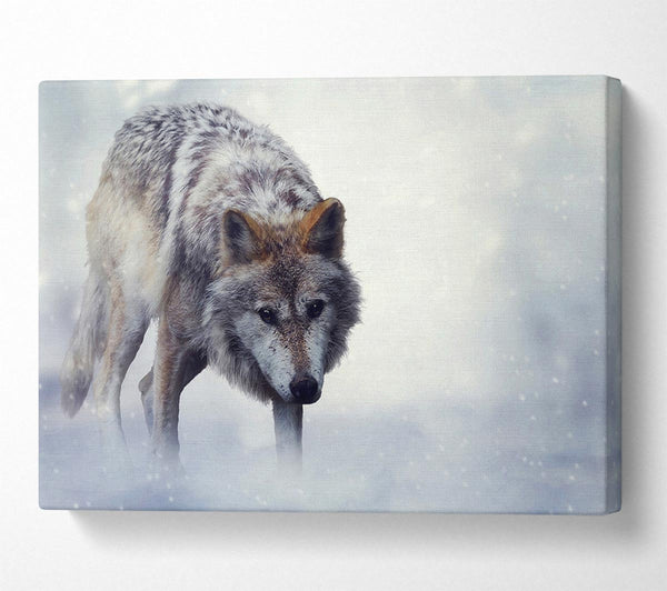  A Canvas Print of Prowling Wolf Canvas Wall Art