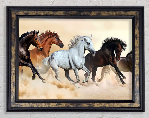 Wild Stallion Horse Desert Framed Print