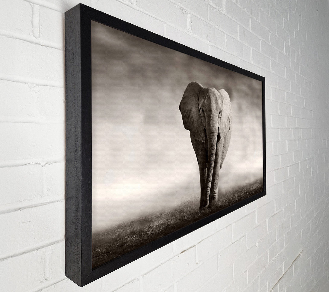  A Canvas Print of Lonesome Elephant Canvas Art