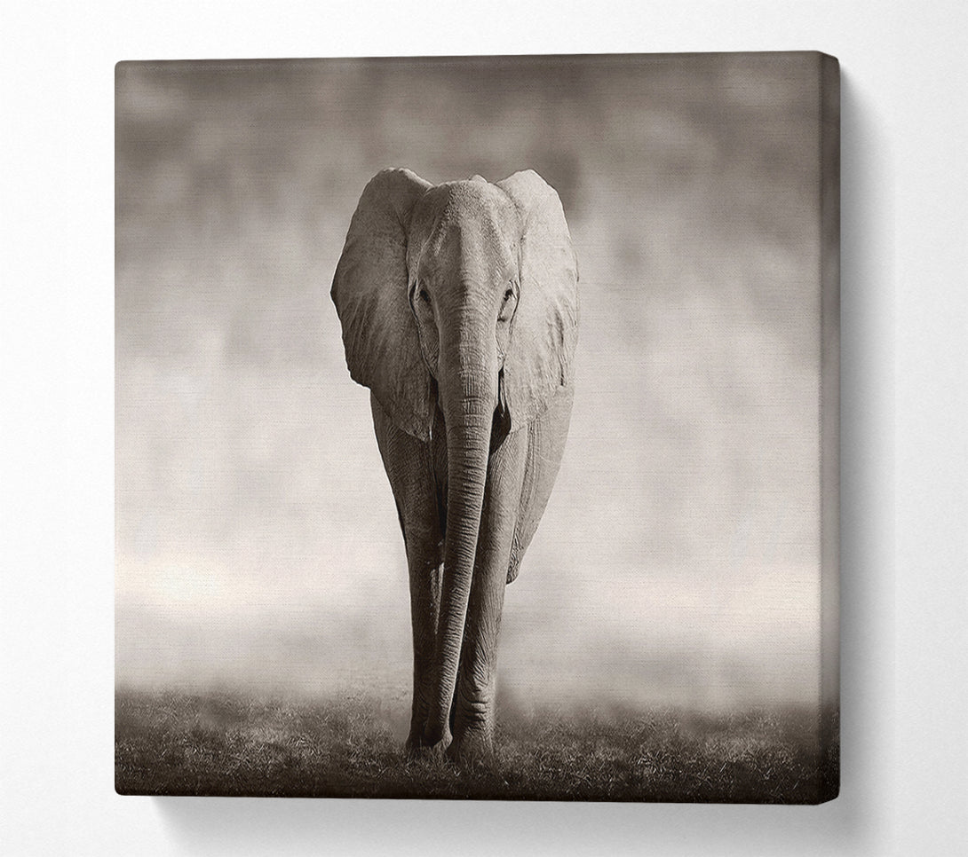  A Canvas Print of Lonesome Elephant Canvas Art