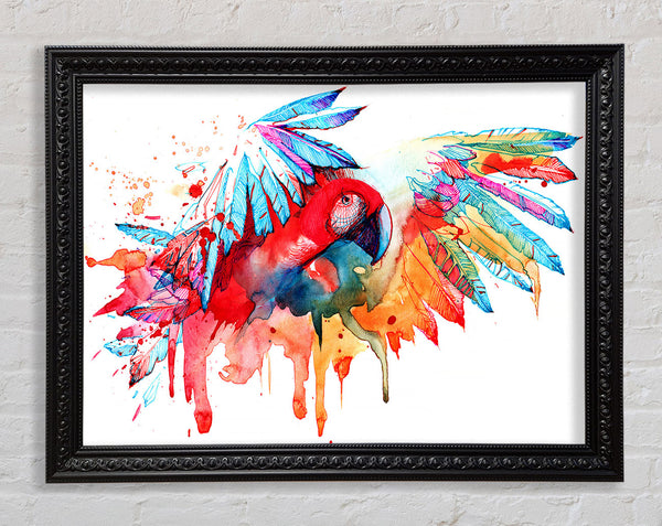 Colourful Parrot Framed Print