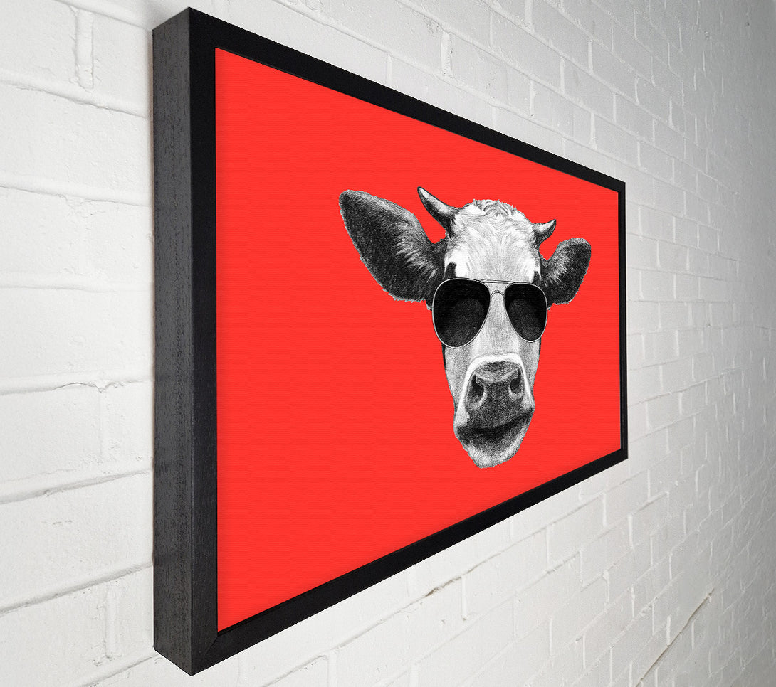  A Canvas Print of Mafia Cow Canvas Print
