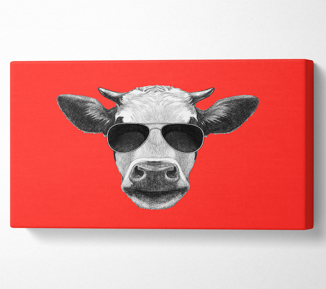 A Canvas Print of Mafia Cow Canvas Print