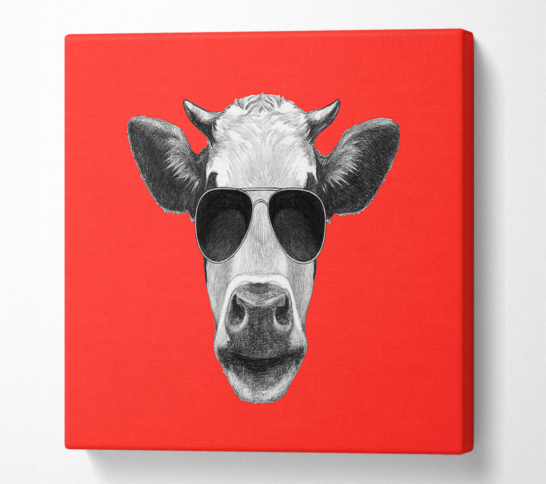  A Canvas Print of Mafia Cow Canvas Print