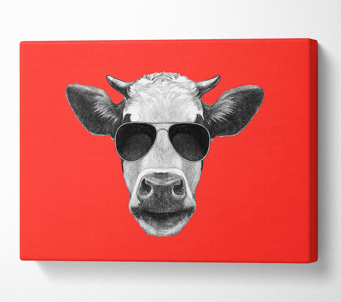  A Canvas Print of Mafia Cow Canvas Print