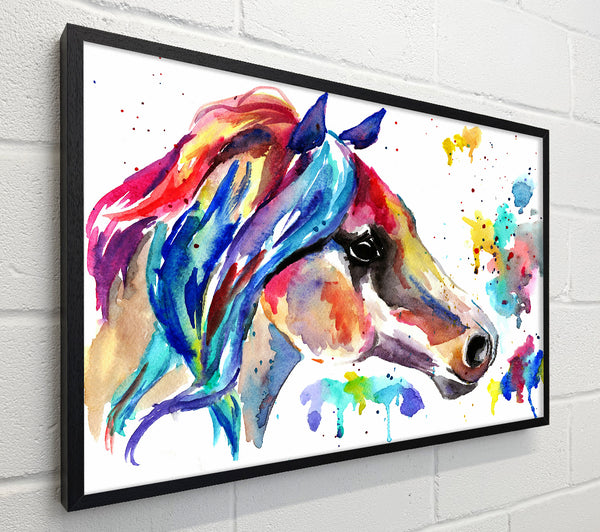 Rainbow Horse