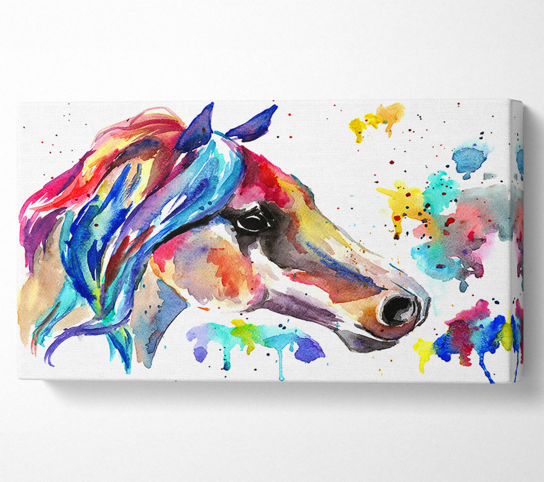  A Canvas Print of Rainbow Horse Canvas Print