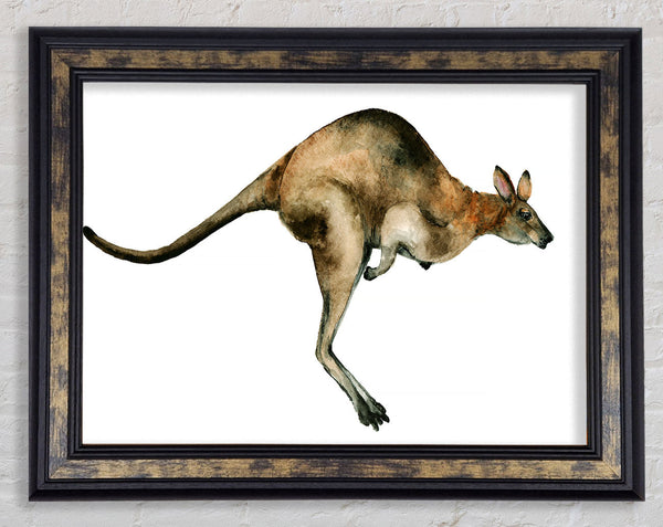Kangaroo Hop Framed Print