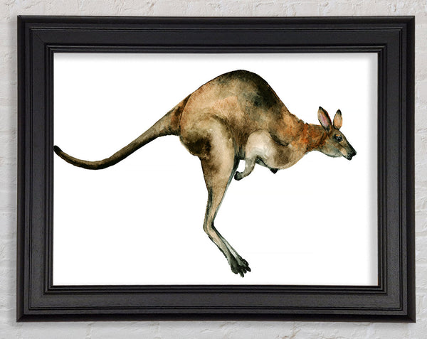 Kangaroo Hop Framed Print
