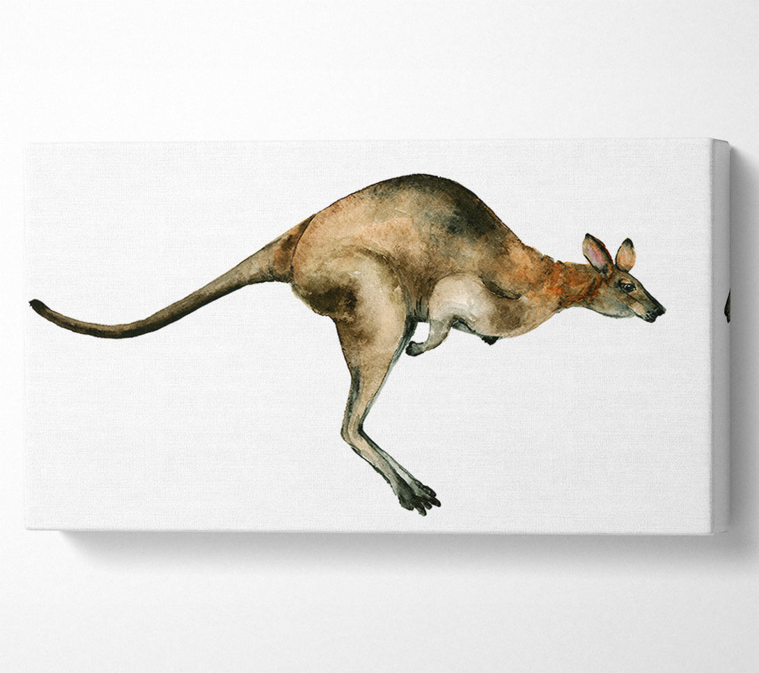  A Canvas Print of Kangaroo Hop Canvas Print