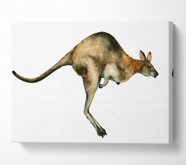  A Canvas Print of Kangaroo Hop Canvas Print