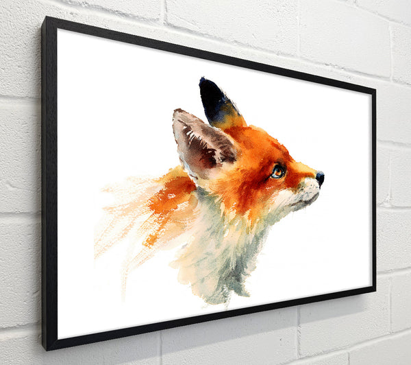 Fox Love