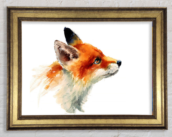 Fox Love Framed Print