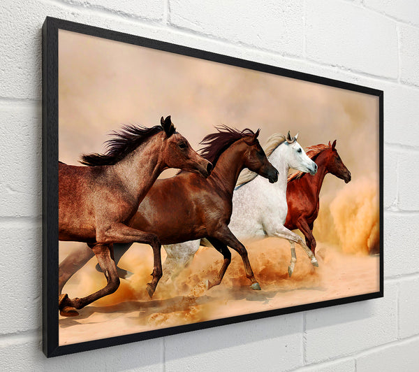 Horse Stampede