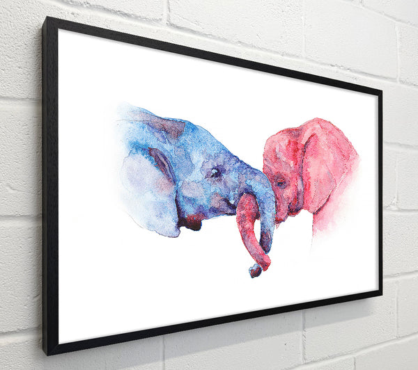 Elephant Trunk love