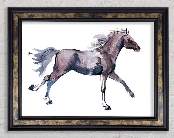 Trotting Horse Framed Print