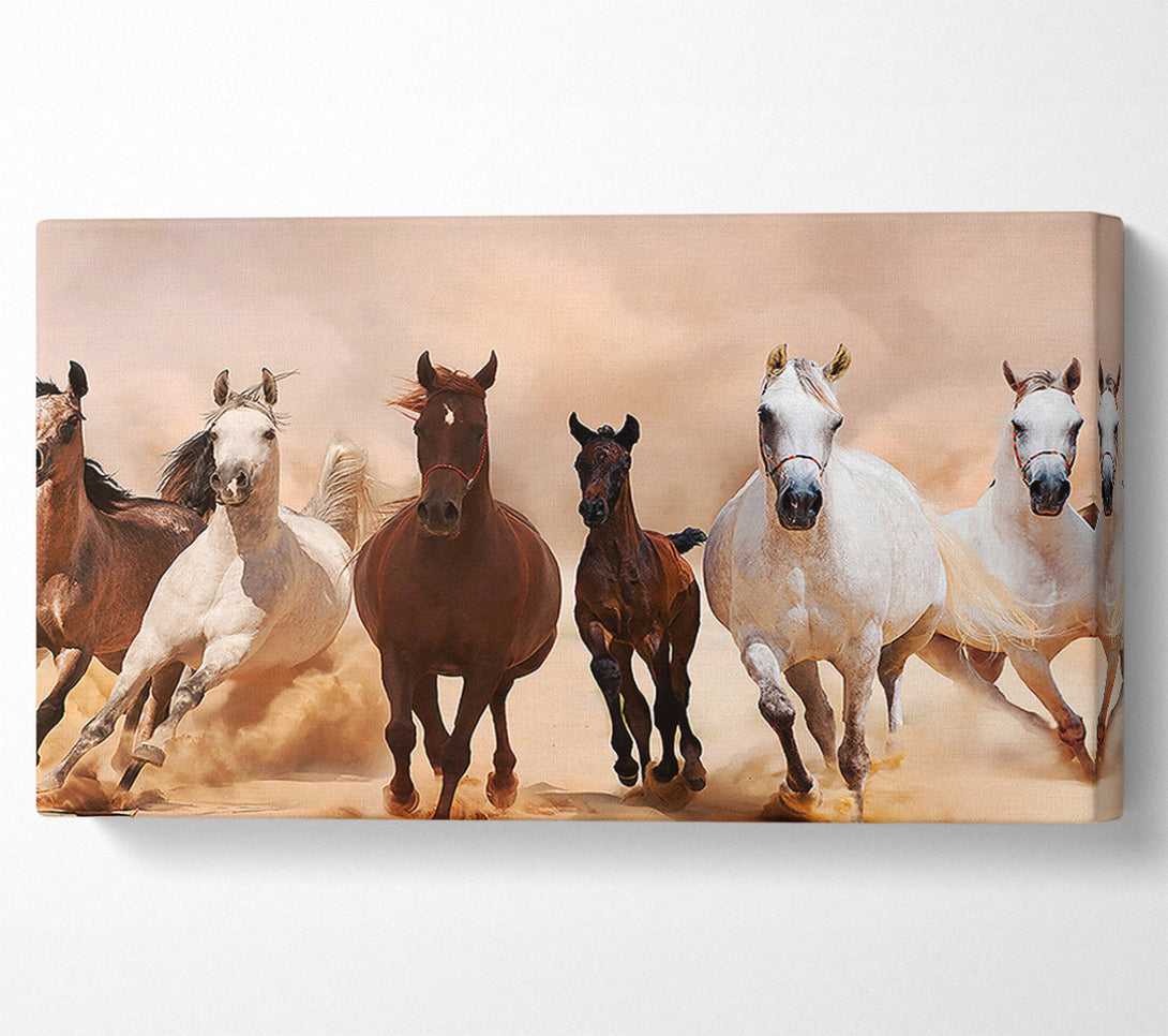 A Canvas Print of Wild Horses Running Canvas Art