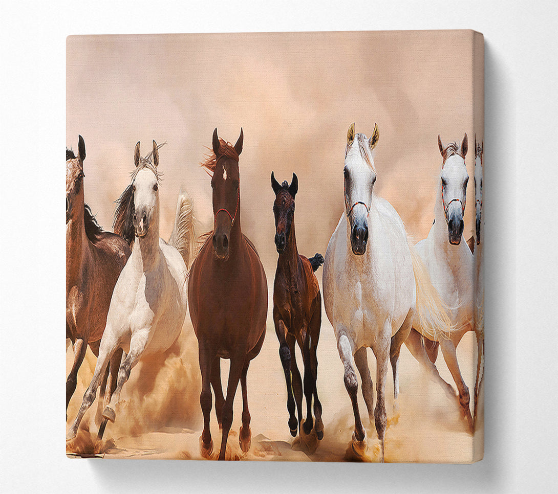  A Canvas Print of Wild Horses Running Canvas Art