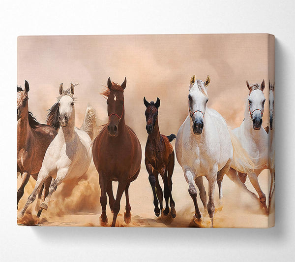  A Canvas Print of Wild Horses Running Canvas Art