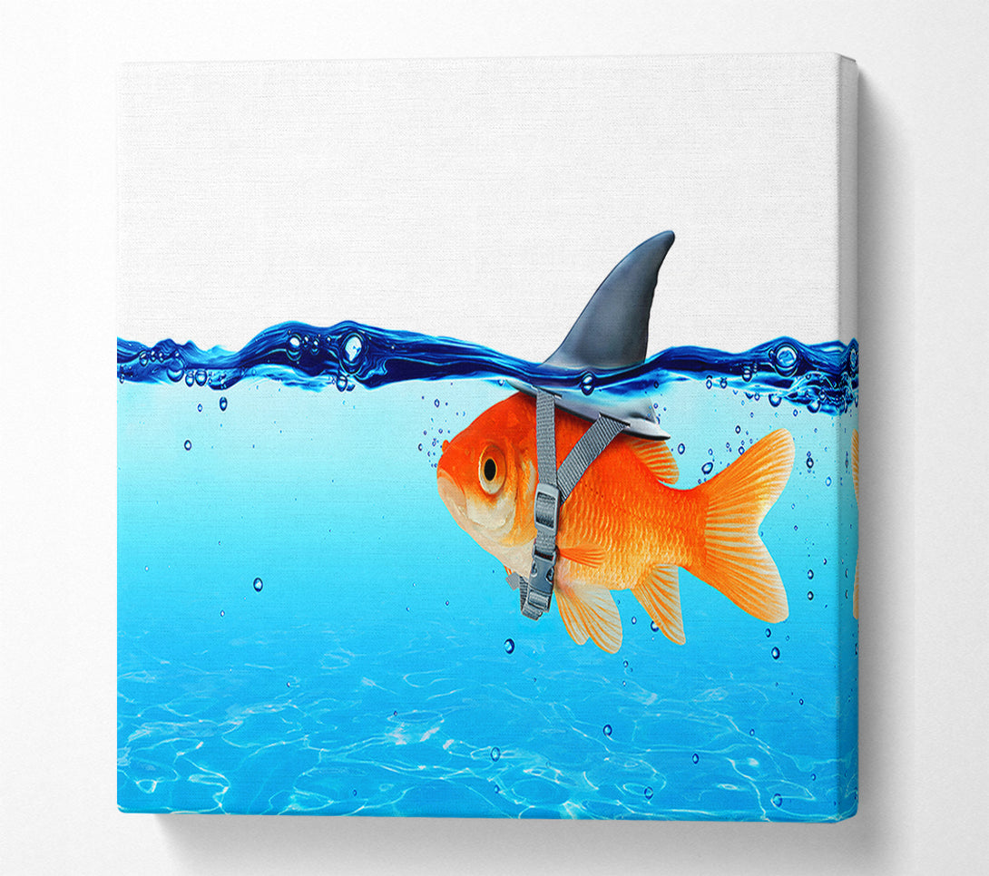  A Canvas Print of Goldfish Shark Canvas Print