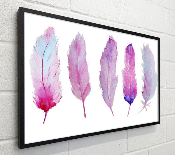 Pink Indian Feathers 1