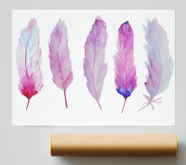 Pink Indian Feathers 1 Giclee Print