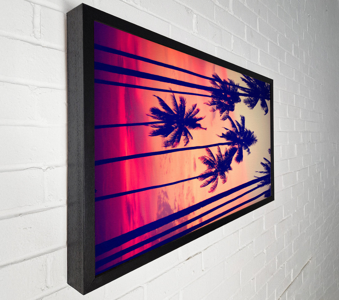  A Canvas Print of Californian Palm Trees Canvas Wall Art