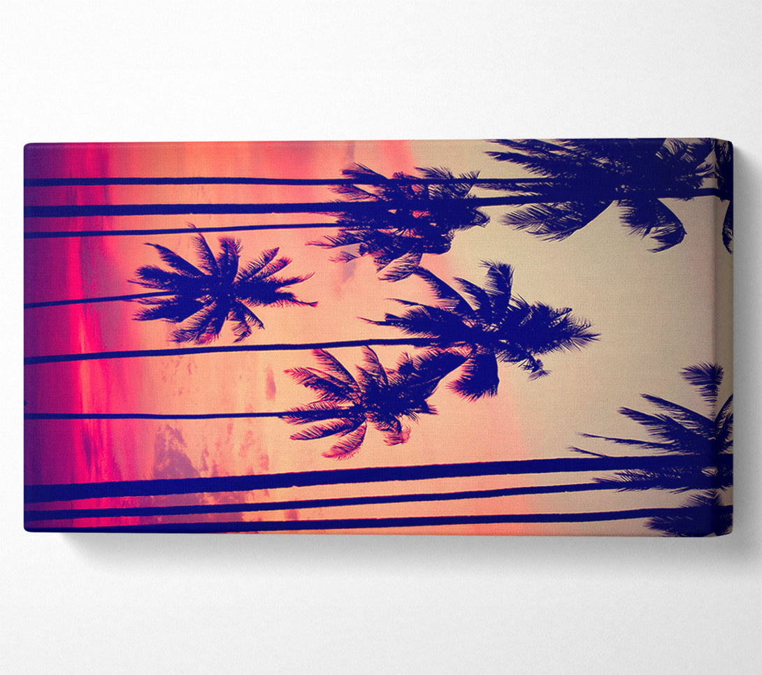  A Canvas Print of Californian Palm Trees Canvas Wall Art