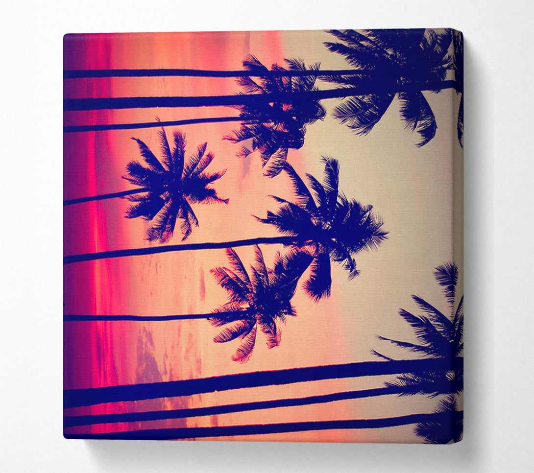  A Canvas Print of Californian Palm Trees Canvas Wall Art