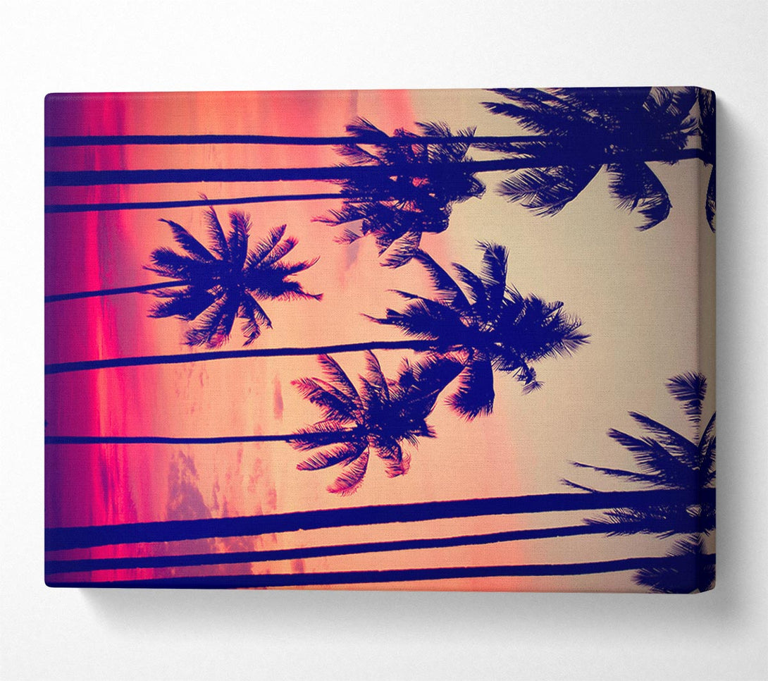  A Canvas Print of Californian Palm Trees Canvas Wall Art