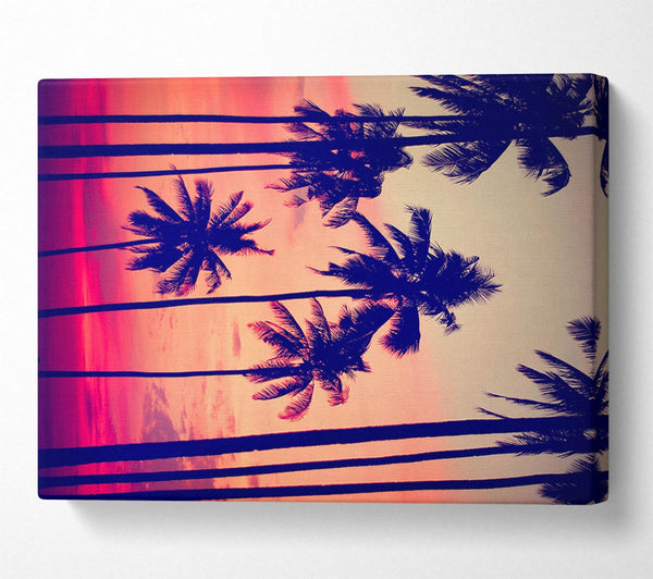 A Canvas Print of Californian Palm Trees Canvas Wall Art