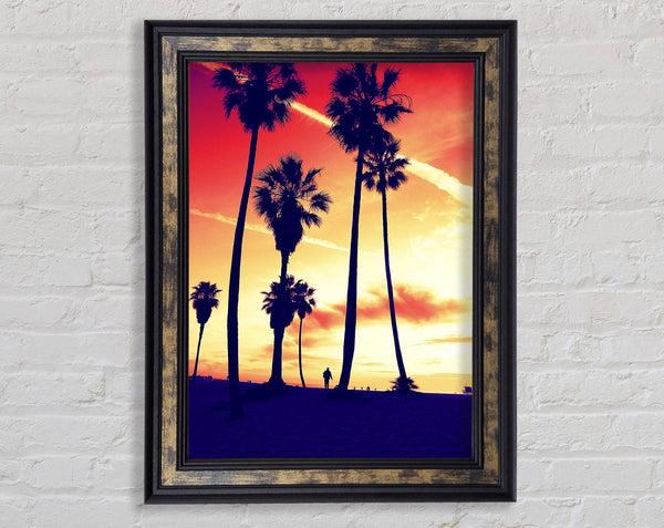Palm Tree Sunset Framed Print