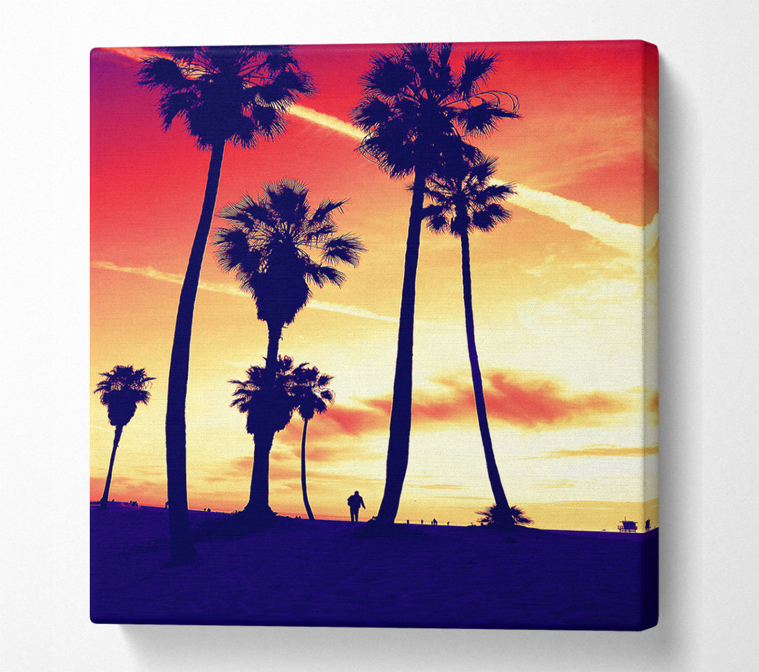  A Canvas Print of Palm Tree Sunset Canvas Print