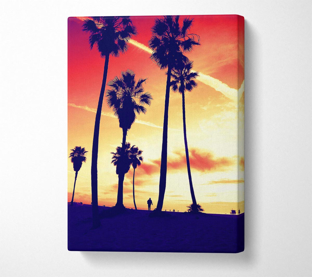  A Canvas Print of Palm Tree Sunset Canvas Print